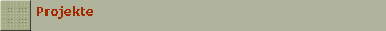 Projekte
